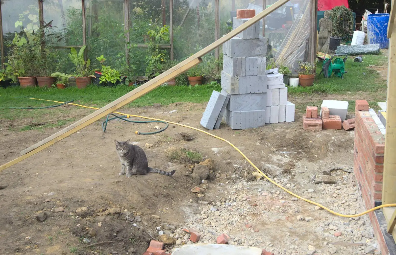 Boris sits around and watches, from Bressingham Gardens, and Building Progress, Brome, Suffolk - 26th August 2013