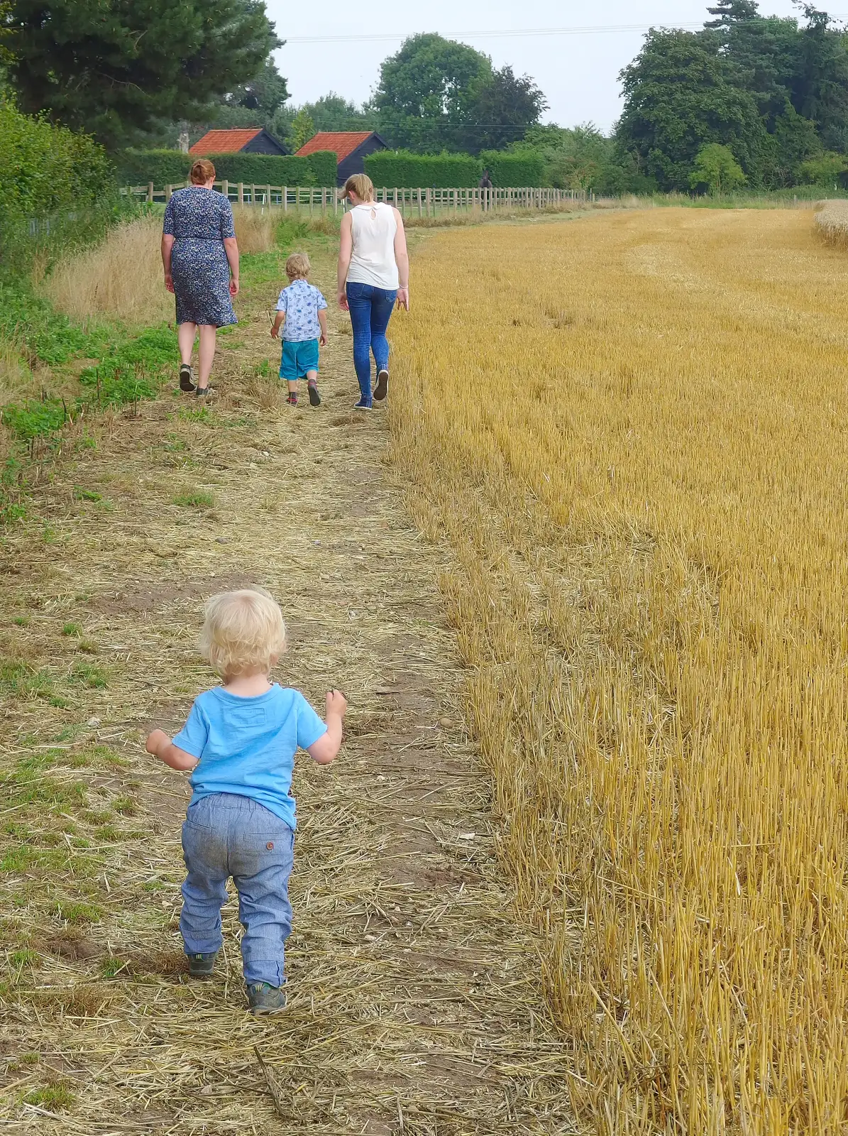 Baby Gabey stumps along the edge of the field, from Pigeon-Eating Hawks and the Mellis Beer Festival, London and Suffolk - 31st August 2013