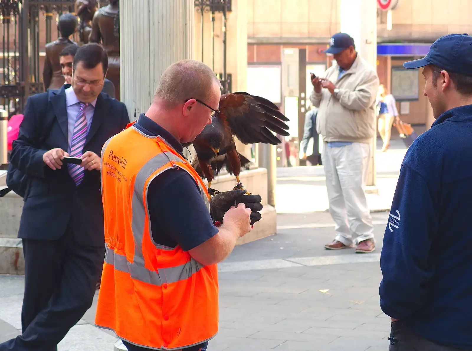 One man and his kestrel, from Pigeon-Eating Hawks and the Mellis Beer Festival, London and Suffolk - 31st August 2013