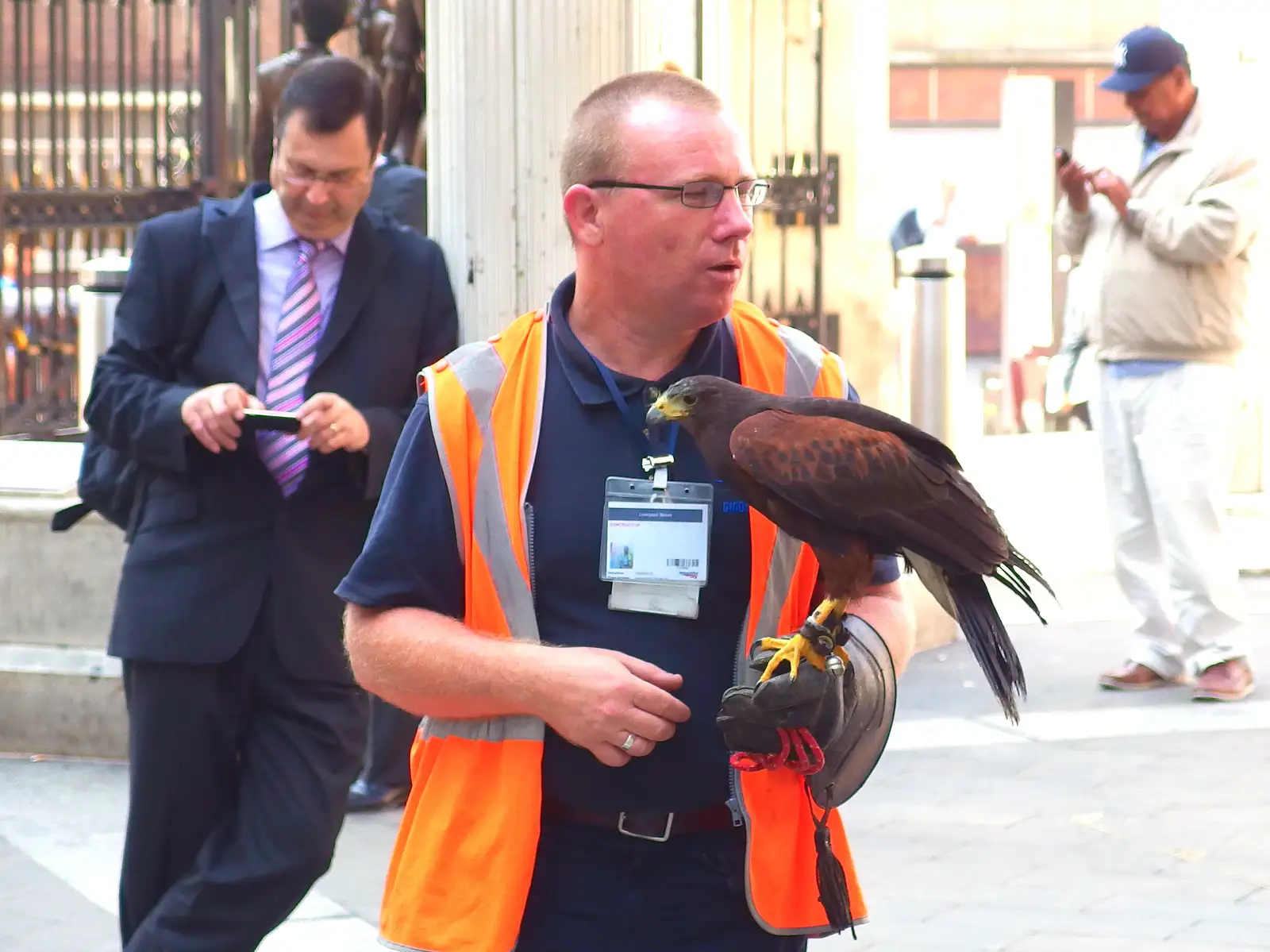 The pigeon-eating kestrel gets ready for a mission, from Pigeon-Eating Hawks and the Mellis Beer Festival, London and Suffolk - 31st August 2013