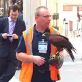 The pigeon-eating kestrel gets ready for a mission, Pigeon-Eating Hawks and the Mellis Beer Festival, London and Suffolk - 31st August 2013