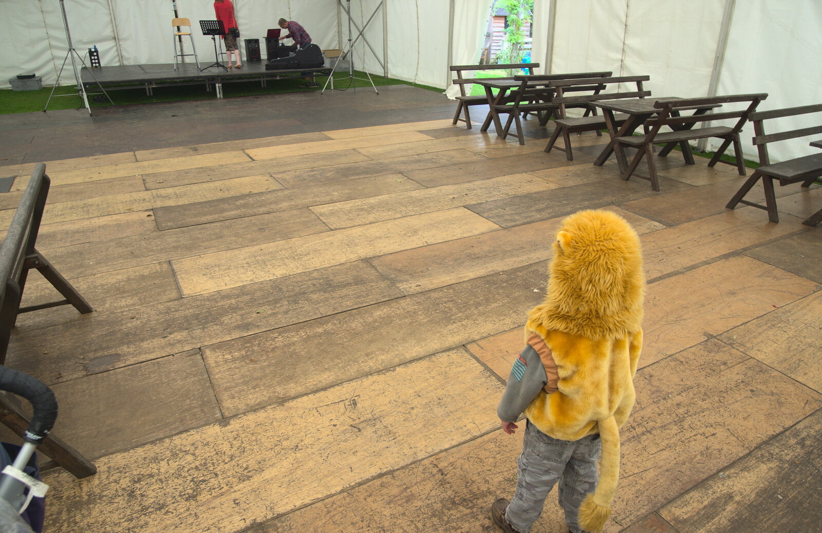 Fred surveys the stage in his lion costume from The Low House Beer Festival, Laxfield, Suffolk - 15th September 2013
