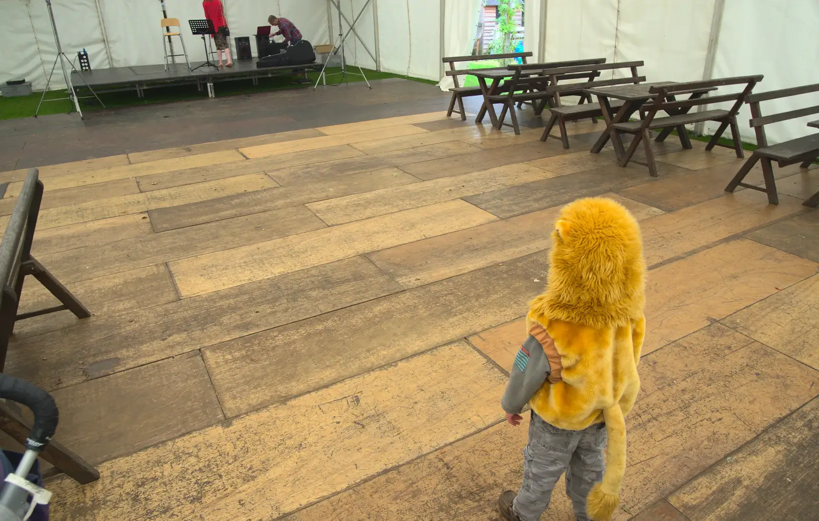 Fred surveys the stage in his lion costume, from The Low House Beer Festival, Laxfield, Suffolk - 15th September 2013