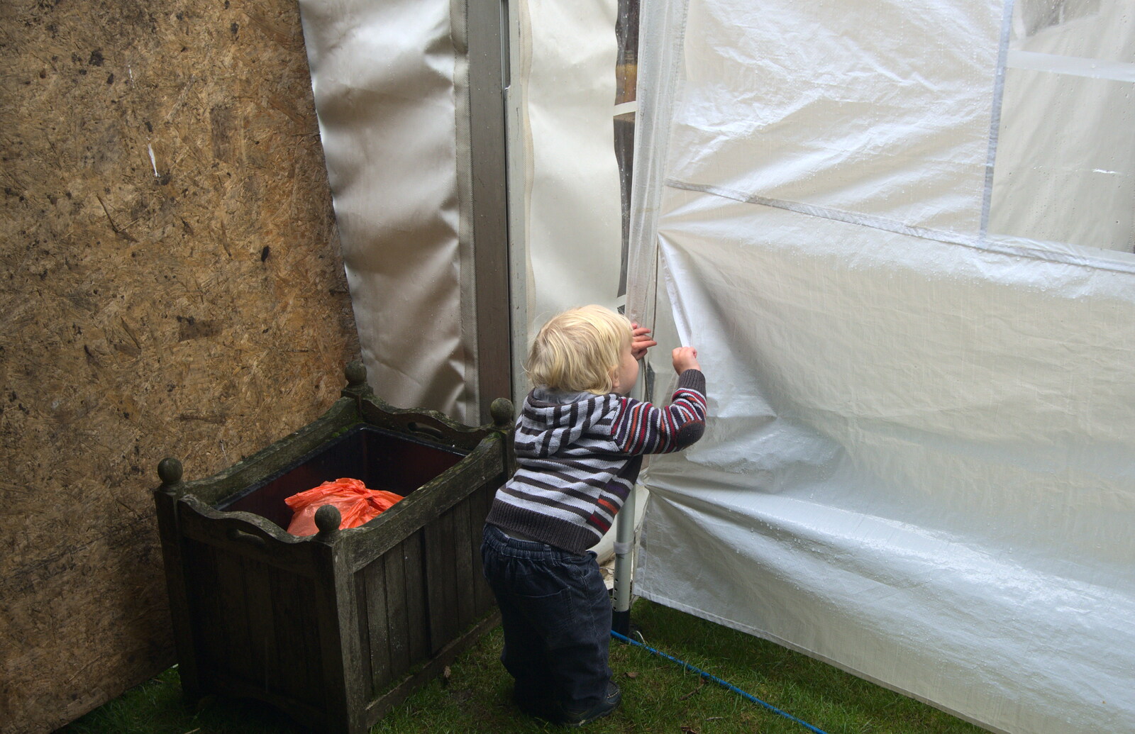 Harry tries to peer into the marquee from The Low House Beer Festival, Laxfield, Suffolk - 15th September 2013