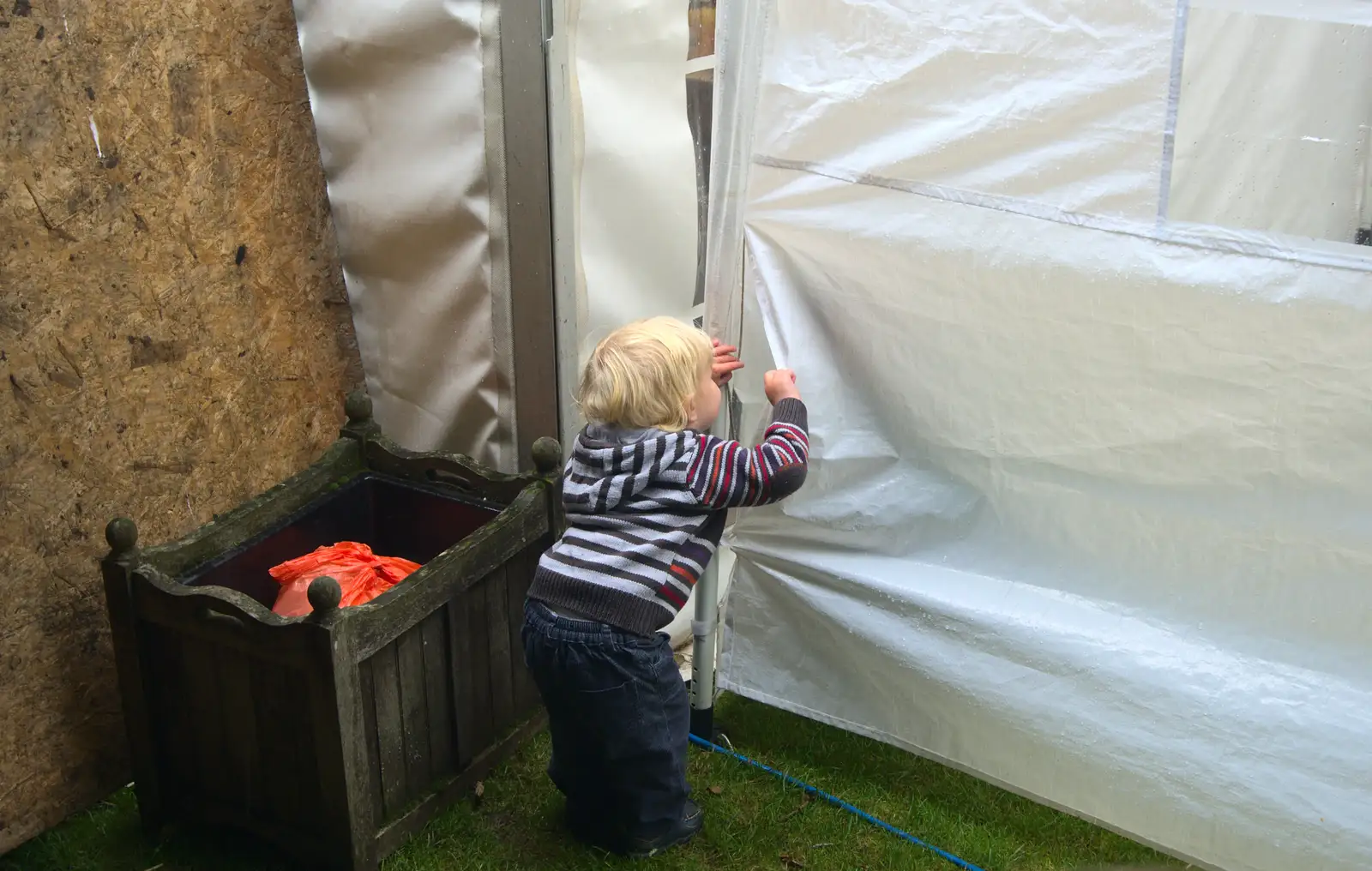 Harry tries to peer into the marquee, from The Low House Beer Festival, Laxfield, Suffolk - 15th September 2013