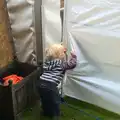 Harry tries to peer into the marquee, The Low House Beer Festival, Laxfield, Suffolk - 15th September 2013