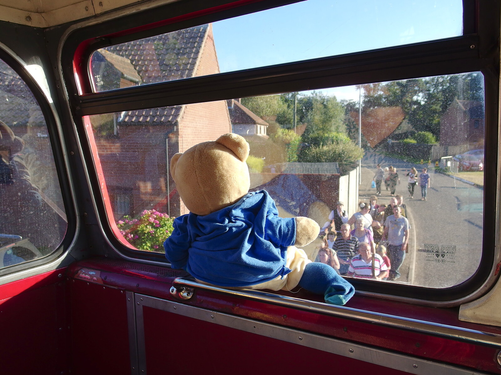 Paul Bear looks out from Paul Bear's Adventures at a 1940s Steam Weekend, Holt, Norfolk - 22nd September 2013
