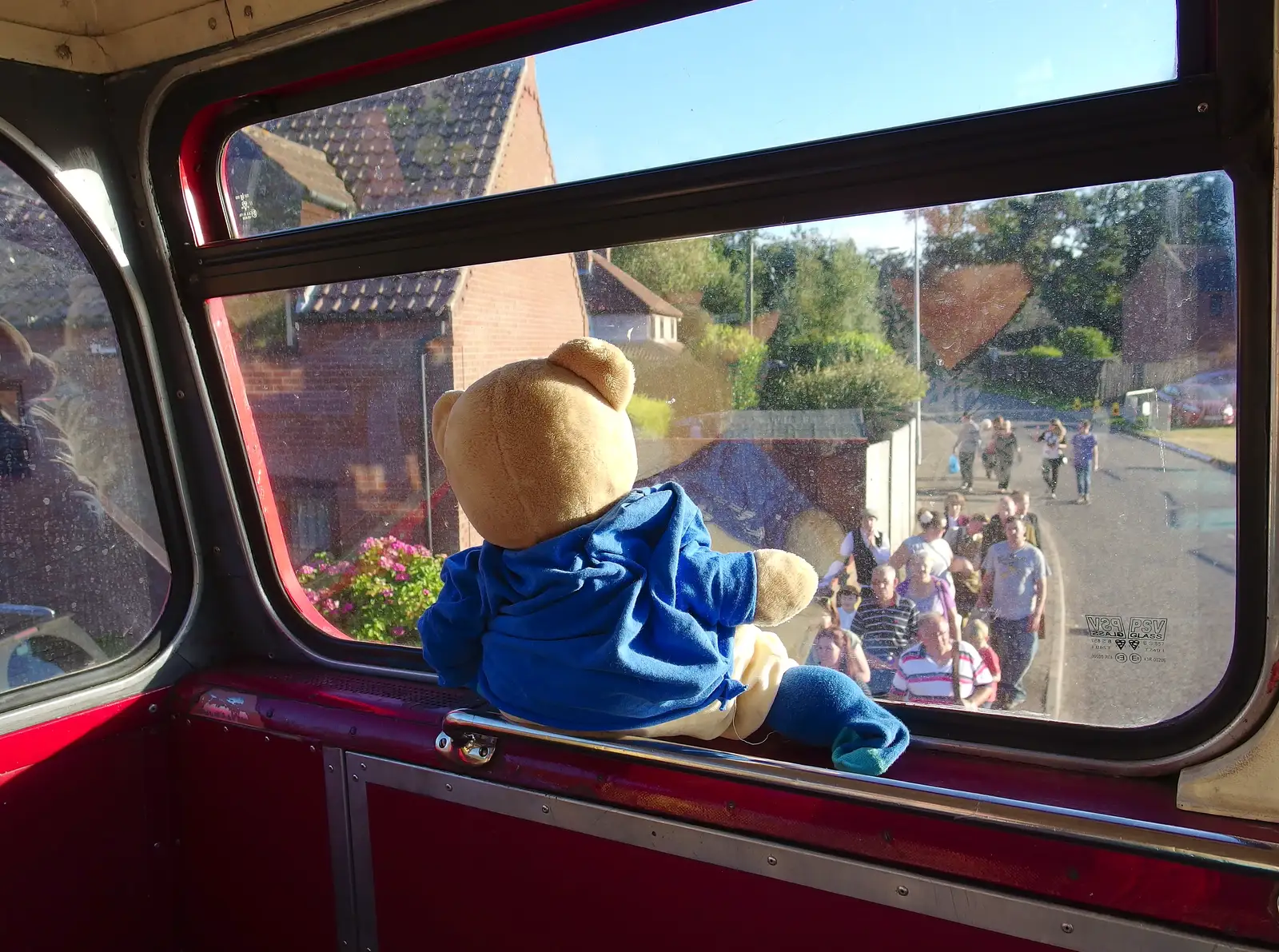 Paul Bear looks out, from Paul Bear's Adventures at a 1940s Steam Weekend, Holt, Norfolk - 22nd September 2013