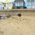 Fred kicks some foam about, Southwold By The Sea, Suffolk - 29th September 2013