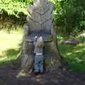 Harry tries to climb the throne, A Walk Around Thornham, and Jacqui Dankworth, Bungay, Suffolk - 6th October 2013