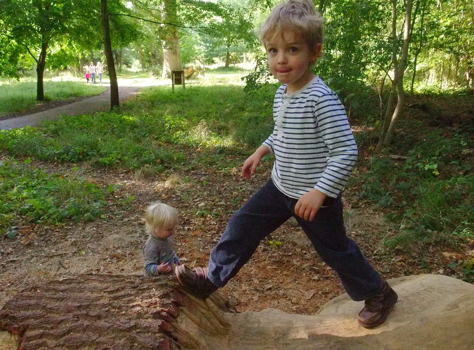 Fred climbs around on the carved log, from A Walk Around Thornham, and Jacqui Dankworth, Bungay, Suffolk - 6th October 2013