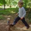 Fred climbs around on the carved log, A Walk Around Thornham, and Jacqui Dankworth, Bungay, Suffolk - 6th October 2013