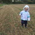 Harry stumps around on the back field, A Building Site Update, Brome, Suffolk - 13th October 2013