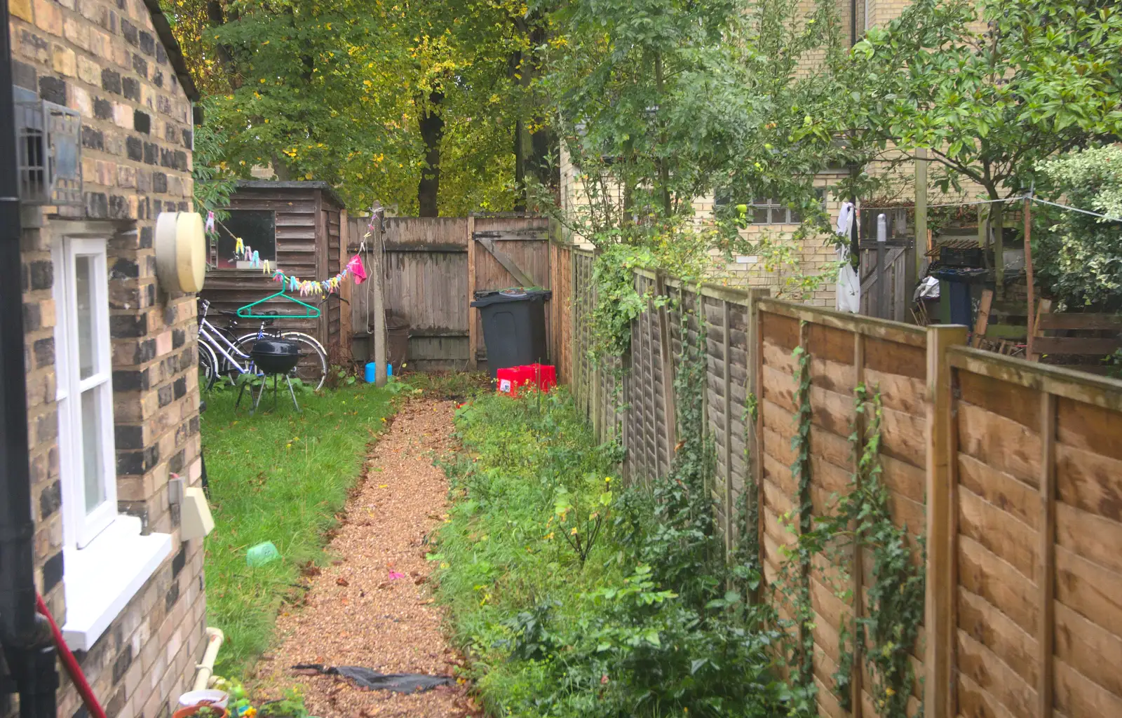 A Cambridge garden, from A Rachel and Sam Evening, Gwydir Street, Cambridge - 19th October 2013