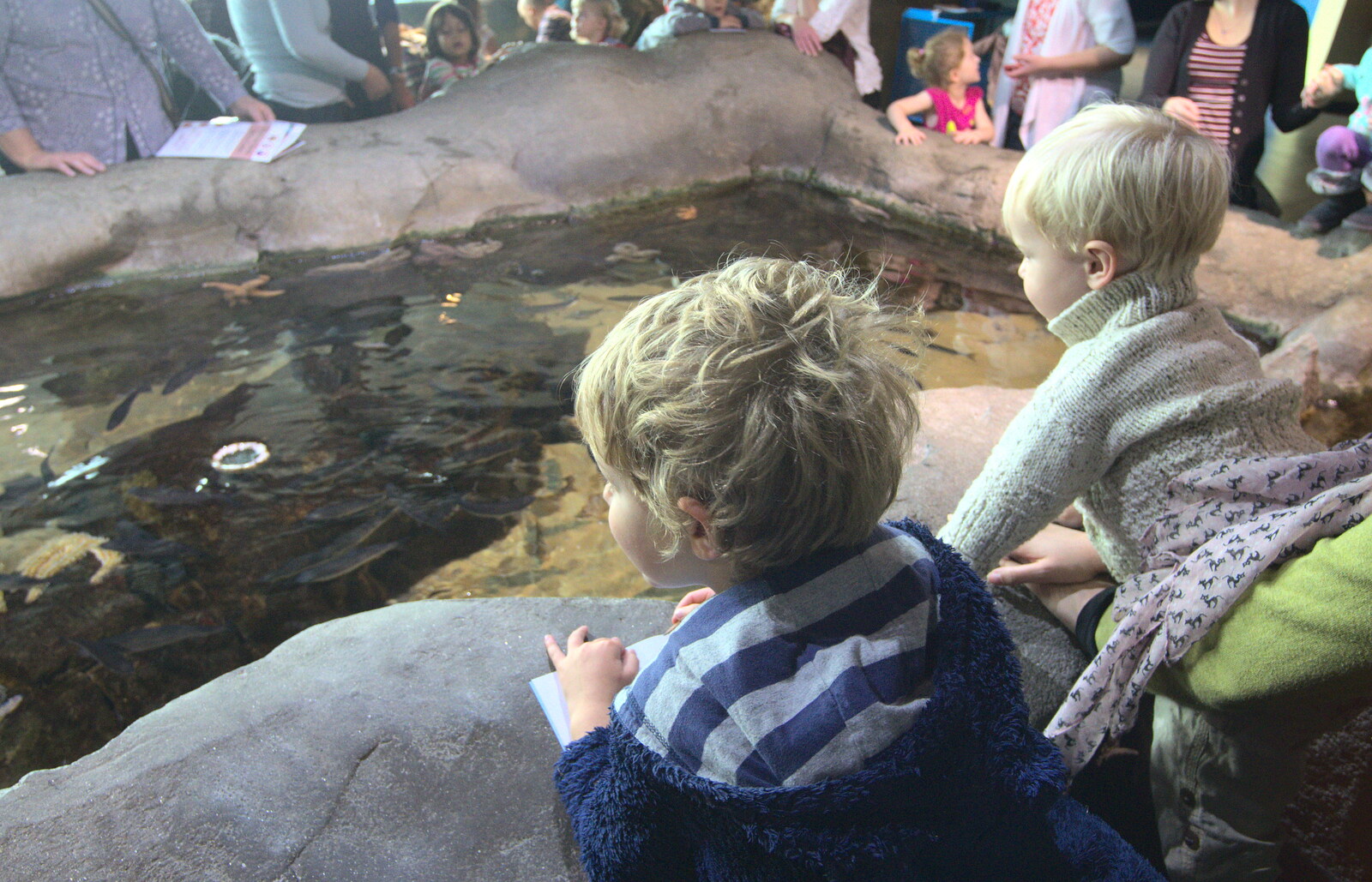 Fred and Gabes look in to a rock pool from A Few Days in Spreyton, Devon - 26th October 2013