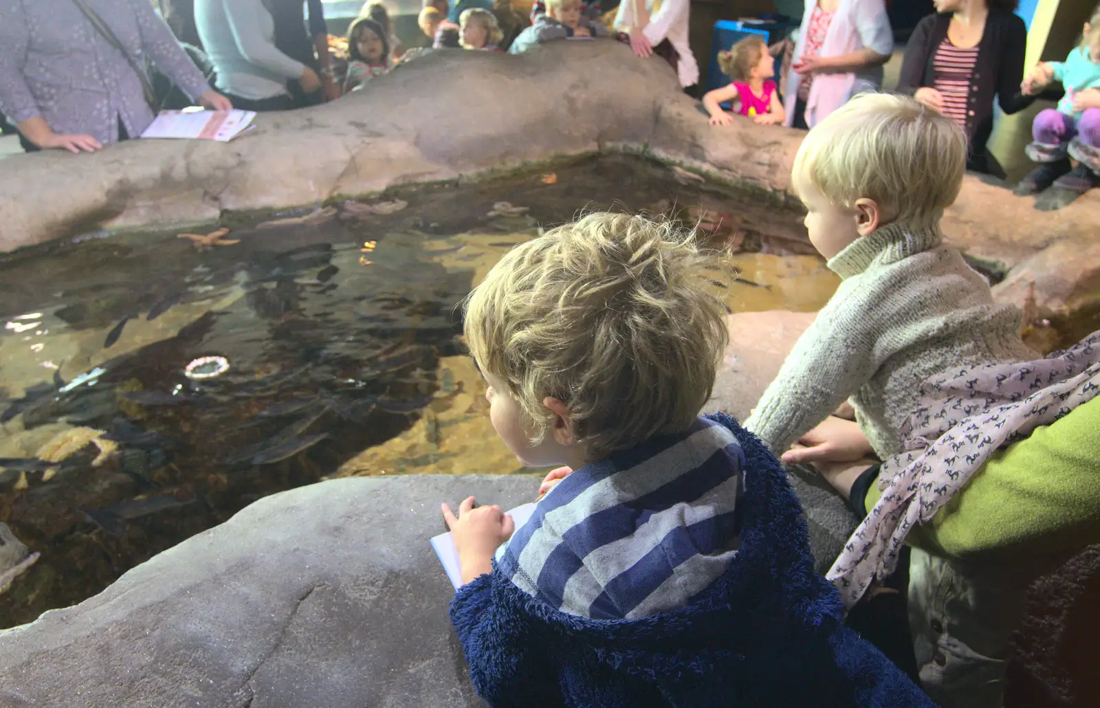 Fred and Gabes look in to a rock pool, from A Few Days in Spreyton, Devon - 26th October 2013