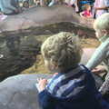 Fred and Gabes look in to a rock pool, A Few Days in Spreyton, Devon - 26th October 2013