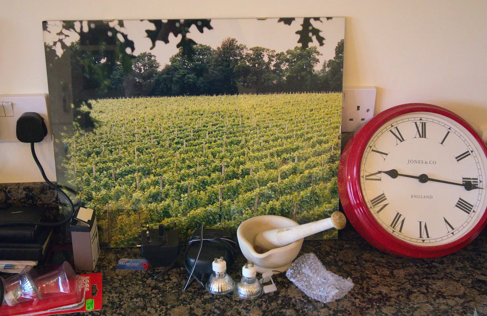 Nosher's 1989 pic of the old Harrow Vineyard, from A Few Days in Spreyton, Devon - 26th October 2013