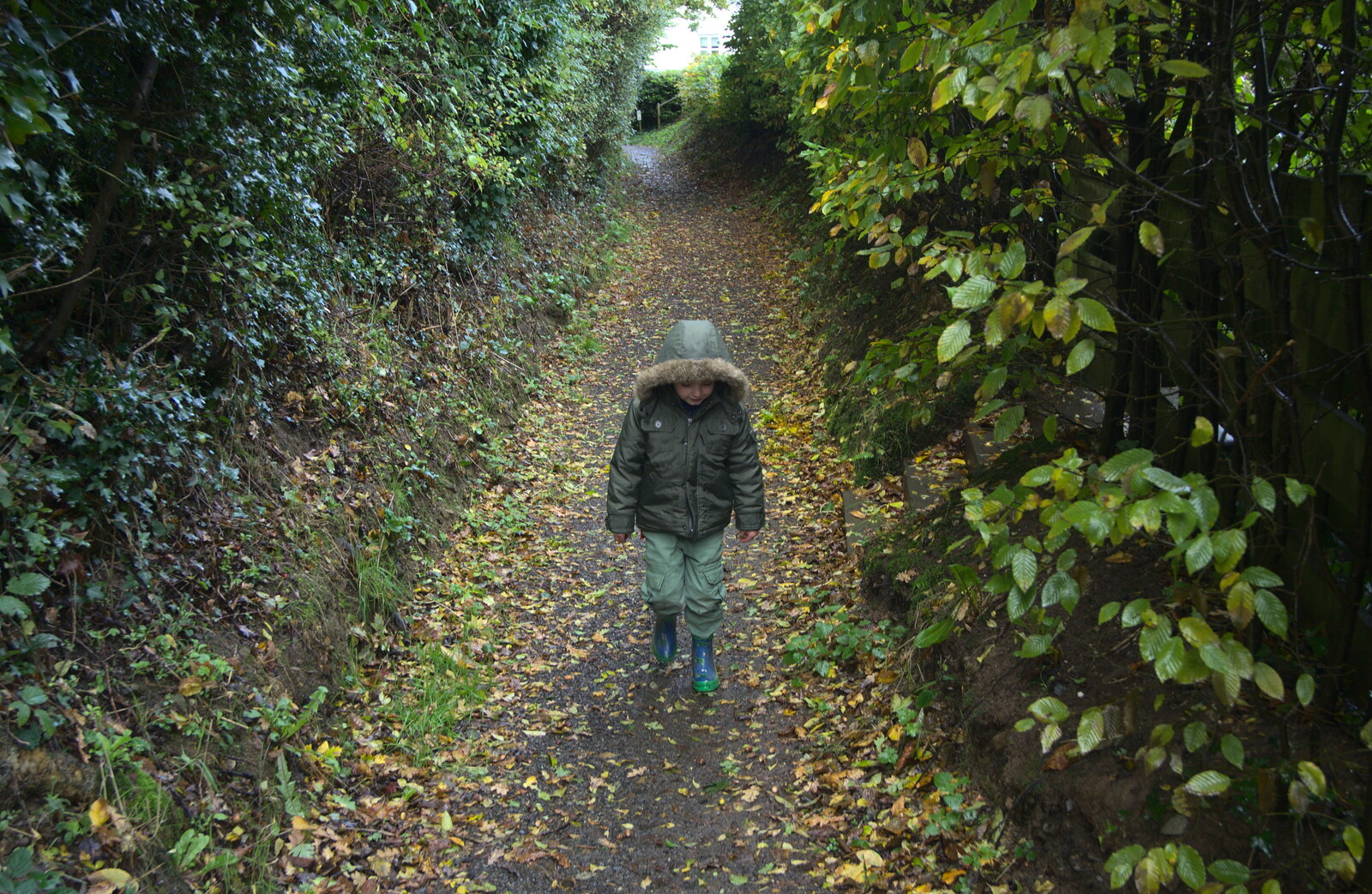 Fred stumps down an autumn-ey path from A Few Days in Spreyton, Devon - 26th October 2013