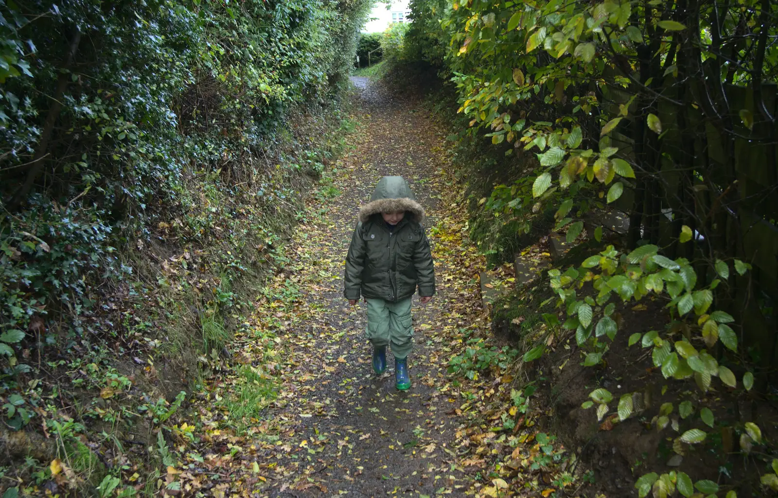 Fred stumps down an autumn-ey path, from A Few Days in Spreyton, Devon - 26th October 2013