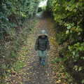 Fred stumps down an autumn-ey path, A Few Days in Spreyton, Devon - 26th October 2013
