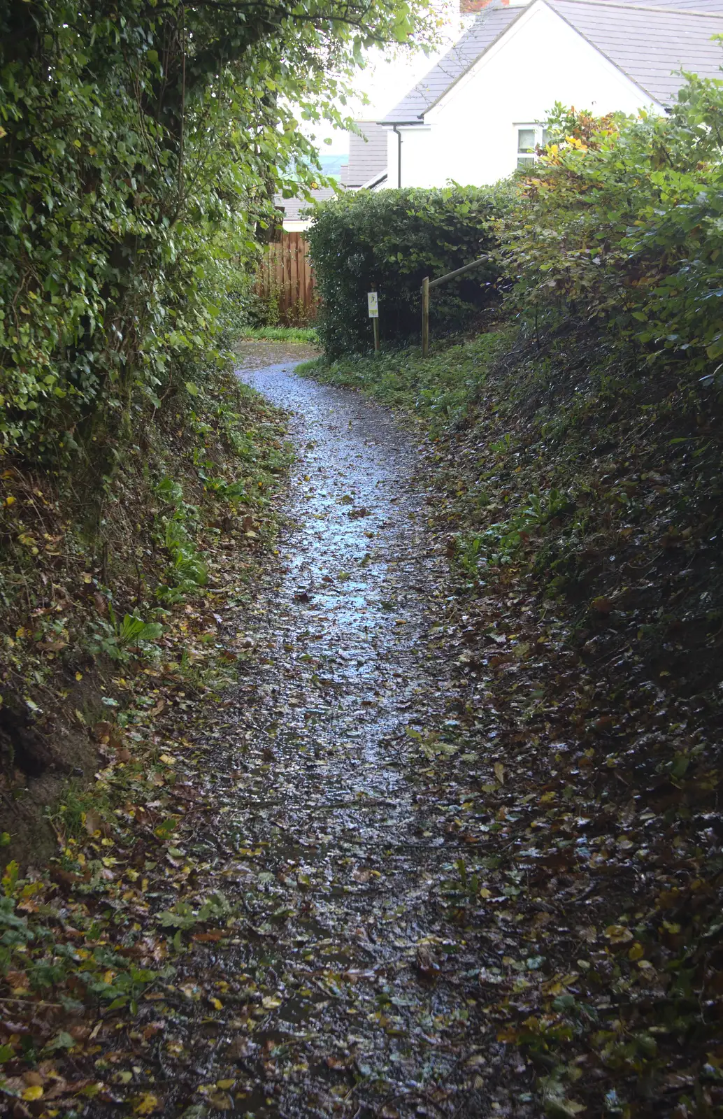 The path to Chapel Park, from A Few Days in Spreyton, Devon - 26th October 2013