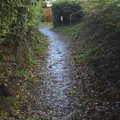 The path to Chapel Park, A Few Days in Spreyton, Devon - 26th October 2013