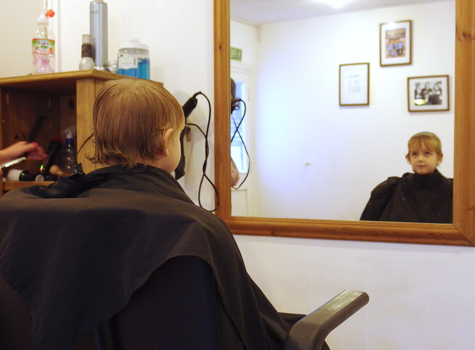 A November Miscellany and Building Progress, Thornham and Brome, Suffolk - 17th November 2013: Fred gets a haircut
