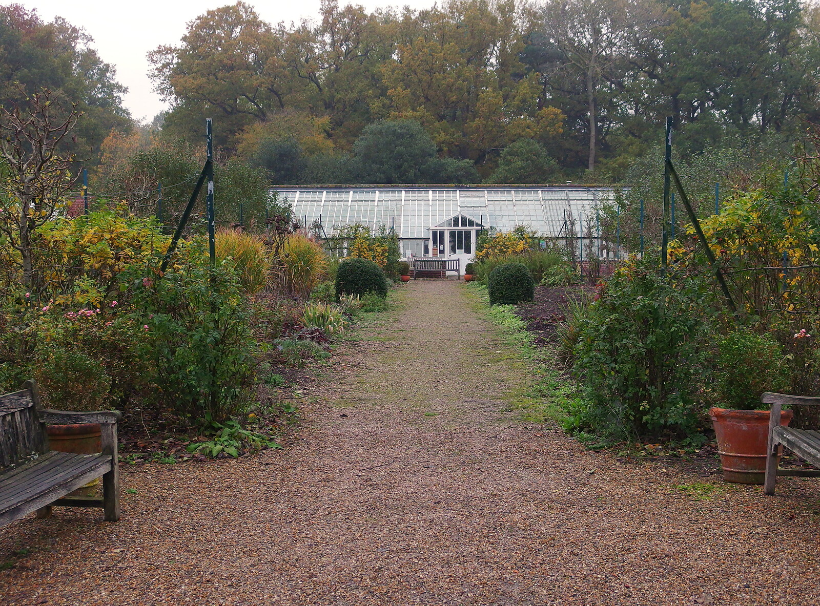 The walled garden is still closed from A November Miscellany and Building Progress, Thornham and Brome, Suffolk - 17th November 2013