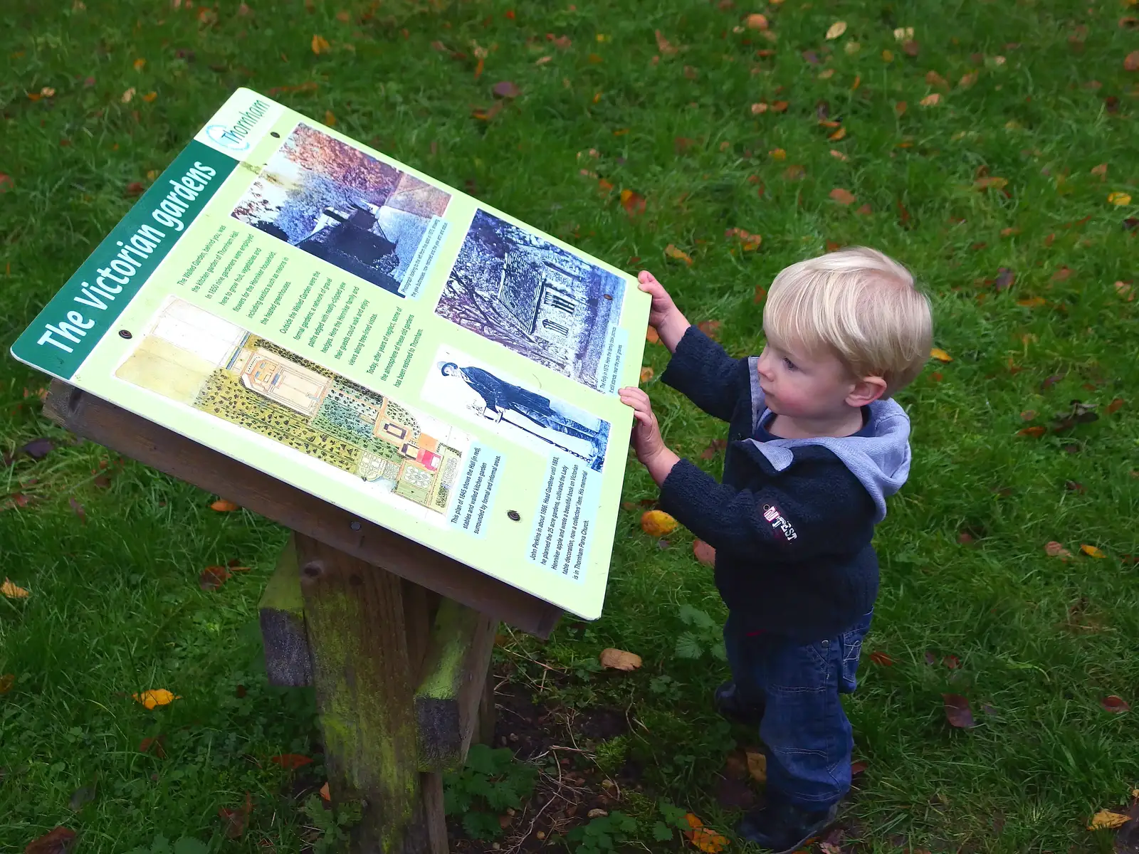 Harry checks an information sign, from A November Miscellany and Building Progress, Thornham and Brome, Suffolk - 17th November 2013