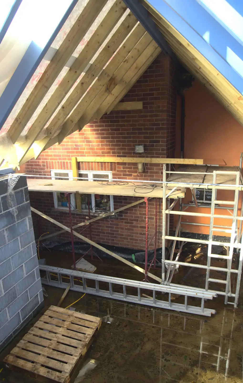 Inside the swimming pool, er, conservatory, from A November Miscellany and Building Progress, Thornham and Brome, Suffolk - 17th November 2013