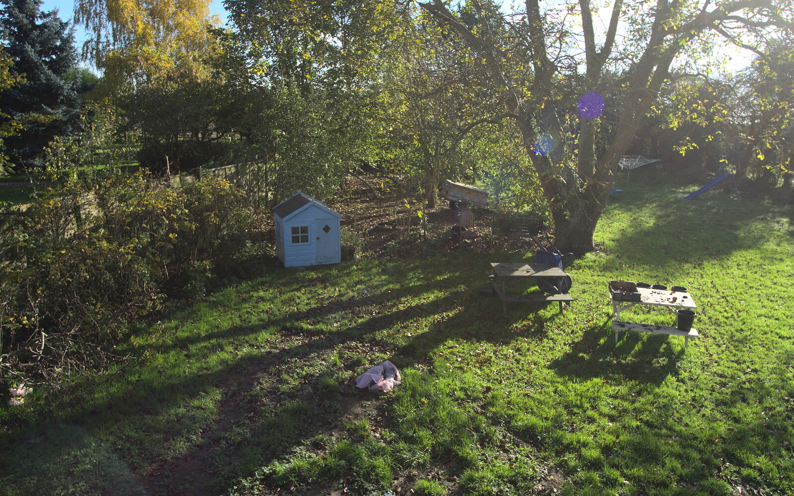 A November Miscellany and Building Progress, Thornham and Brome, Suffolk - 17th November 2013: The garden's in a mess
