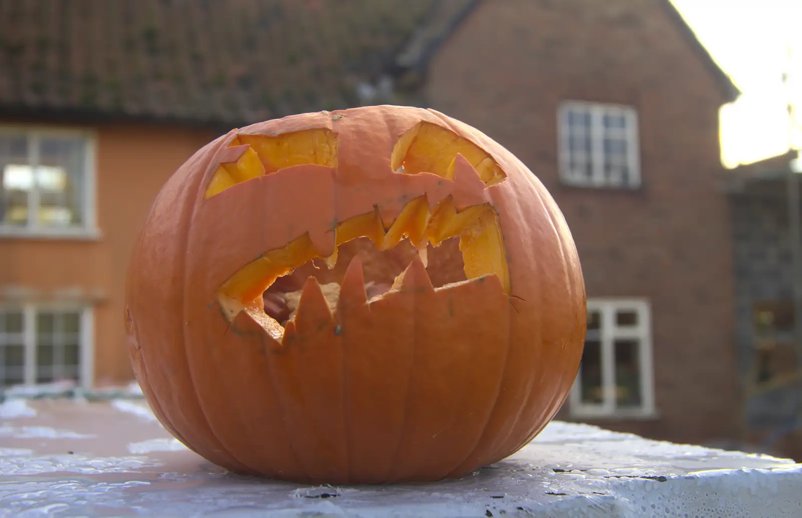 Isobel and Fred's pumpkin, from A November Miscellany and Building Progress, Thornham and Brome, Suffolk - 17th November 2013