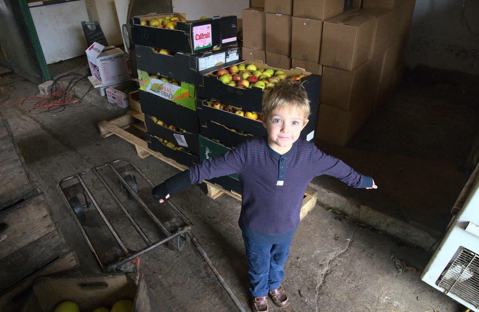 A November Miscellany and Building Progress, Thornham and Brome, Suffolk - 17th November 2013: Fred stands in front of our apple harvest