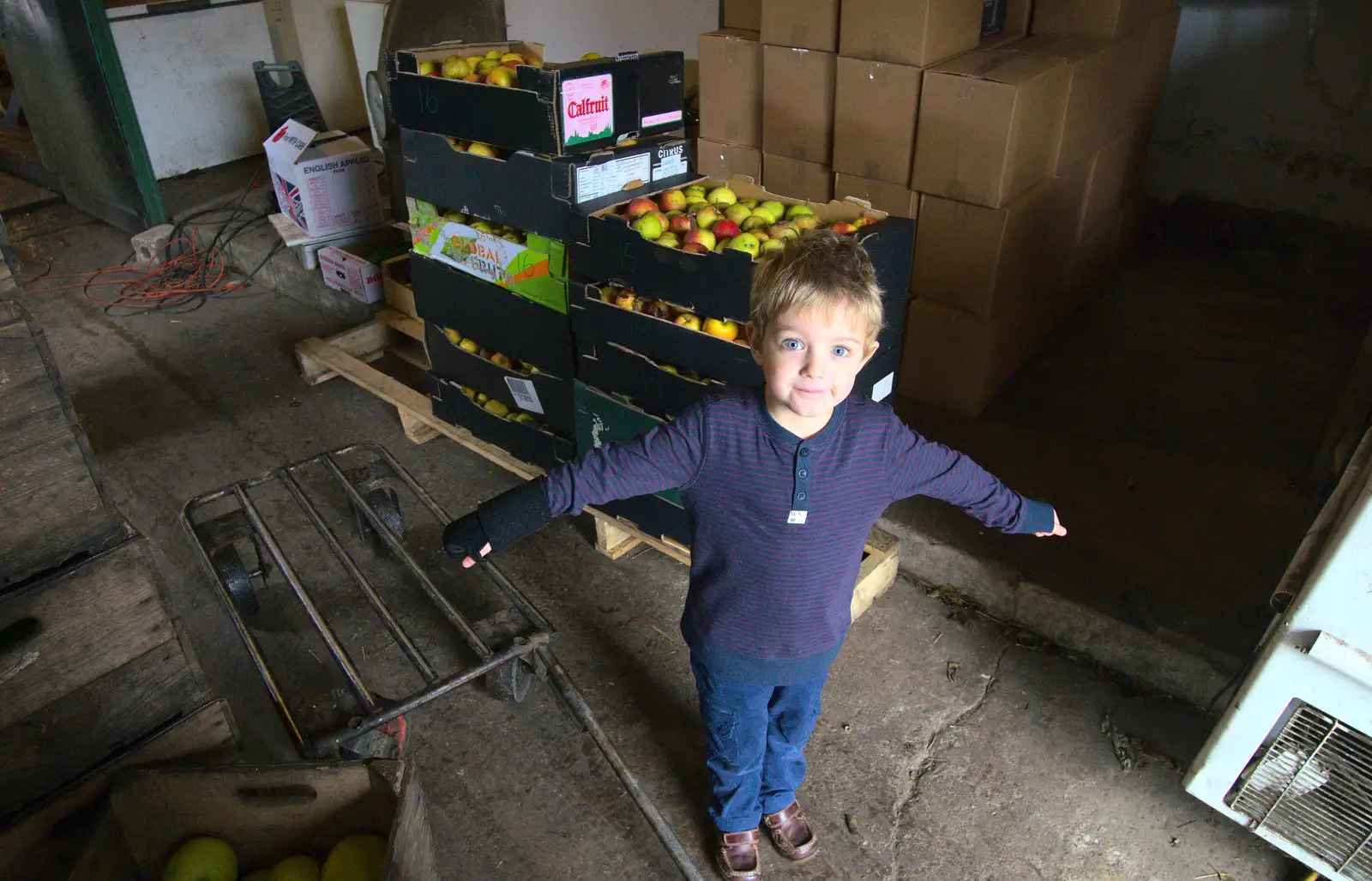 Fred stands in front of our apple harvest, from A November Miscellany and Building Progress, Thornham and Brome, Suffolk - 17th November 2013