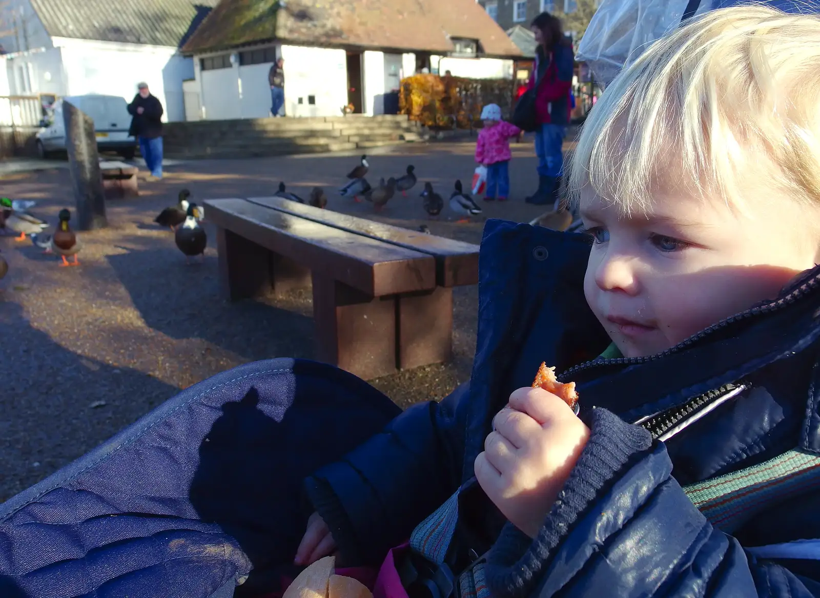 Harry eats a sausage by the Mere, from More Building and Palgrave Playground, Suffolk - 24th November 2013