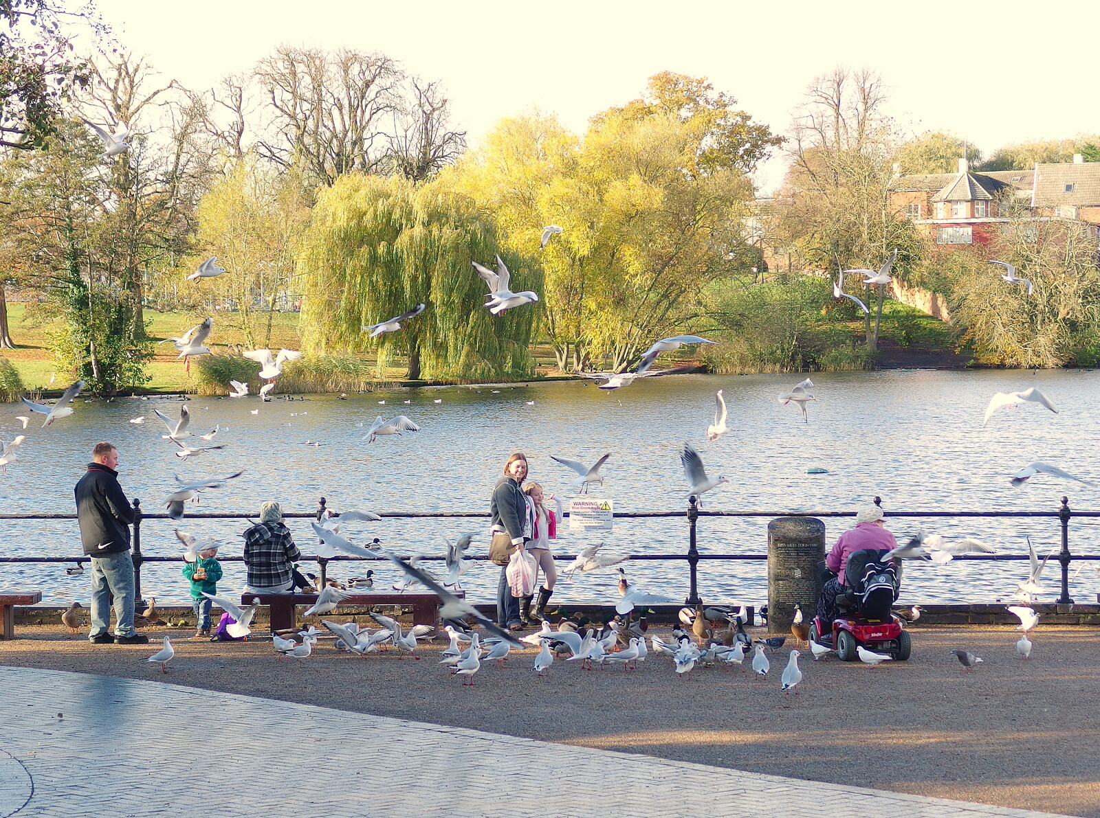 More Building and Palgrave Playground, Suffolk - 24th November 2013: Bird attack on the Mere