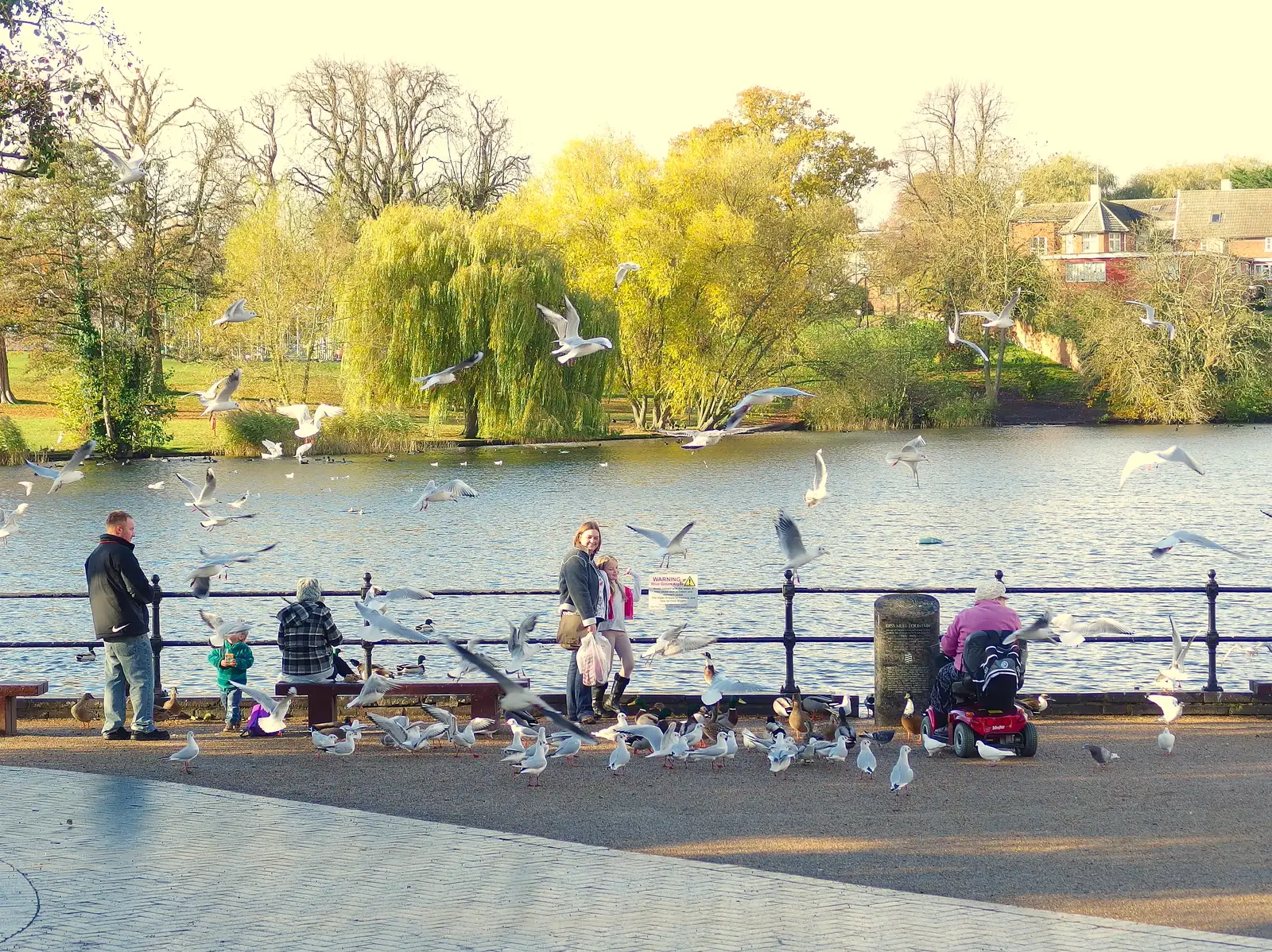 Bird attack on the Mere, from More Building and Palgrave Playground, Suffolk - 24th November 2013