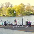 Bird attack on the Mere, More Building and Palgrave Playground, Suffolk - 24th November 2013