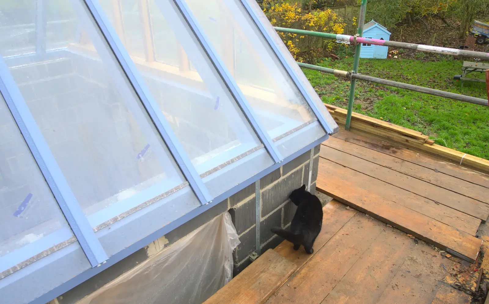 Millie - the Invisible Cat - has a sniff, from More Building and Palgrave Playground, Suffolk - 24th November 2013