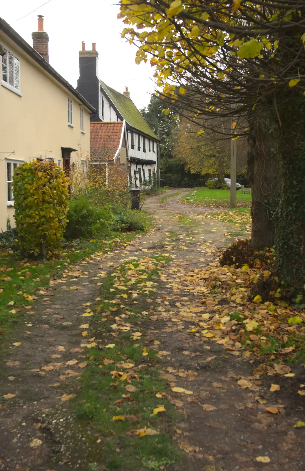 Palgrave houses, from More Building and Palgrave Playground, Suffolk - 24th November 2013