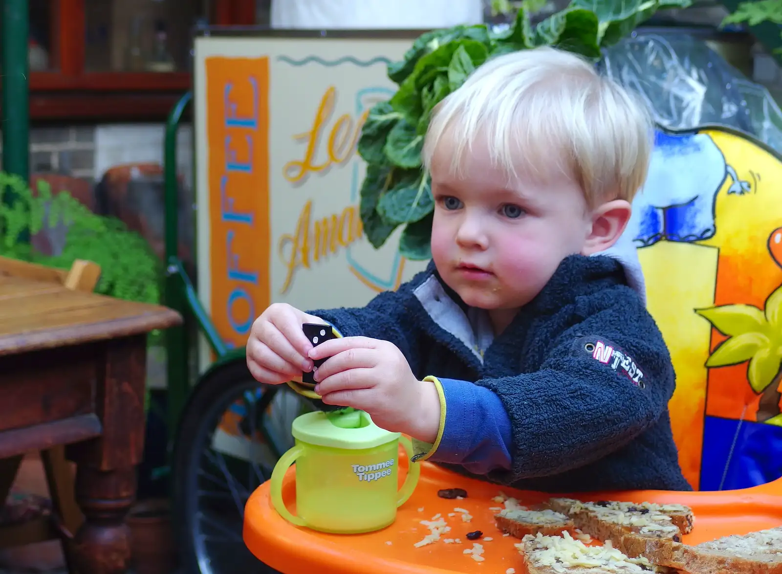 Harry - Baby Gabey, from Saturday Café Life, Diss, Norfolk - 14th December 2013