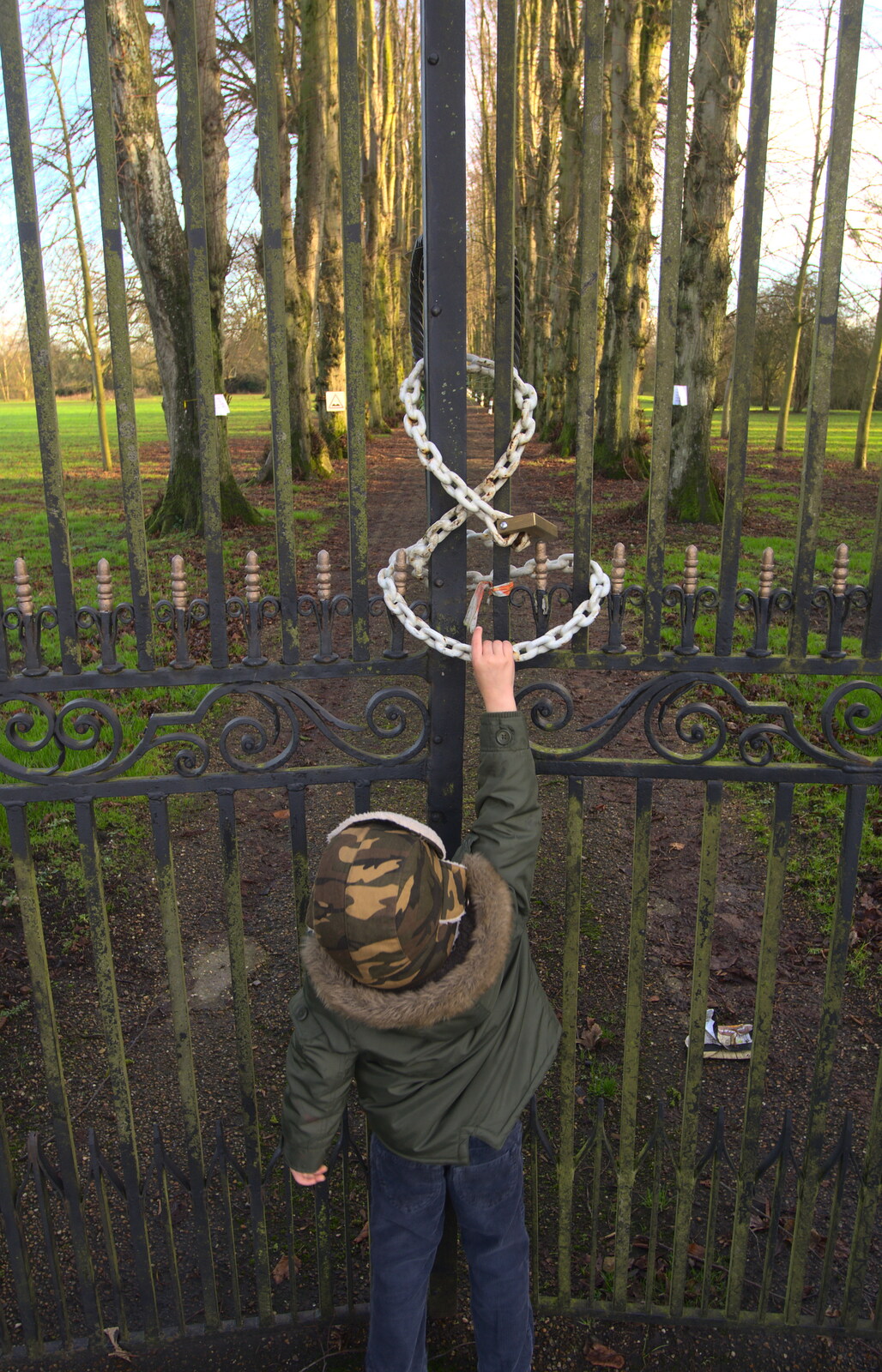 Fred folornly pokes at the locked gates from Christmas Day and all that, Brome, Suffolk - 25th December 2013