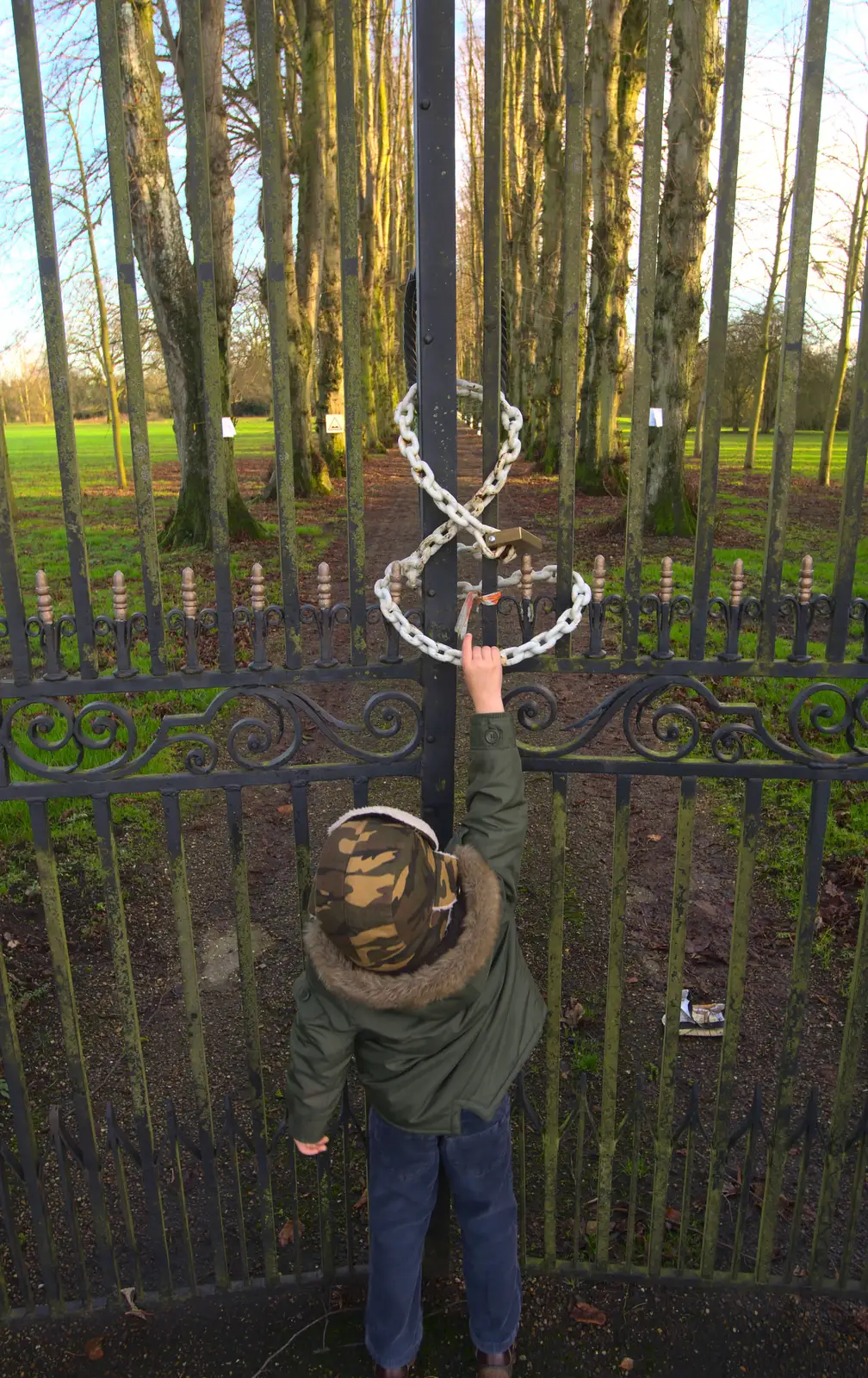 Fred folornly pokes at the locked gates, from Christmas Day and all that, Brome, Suffolk - 25th December 2013