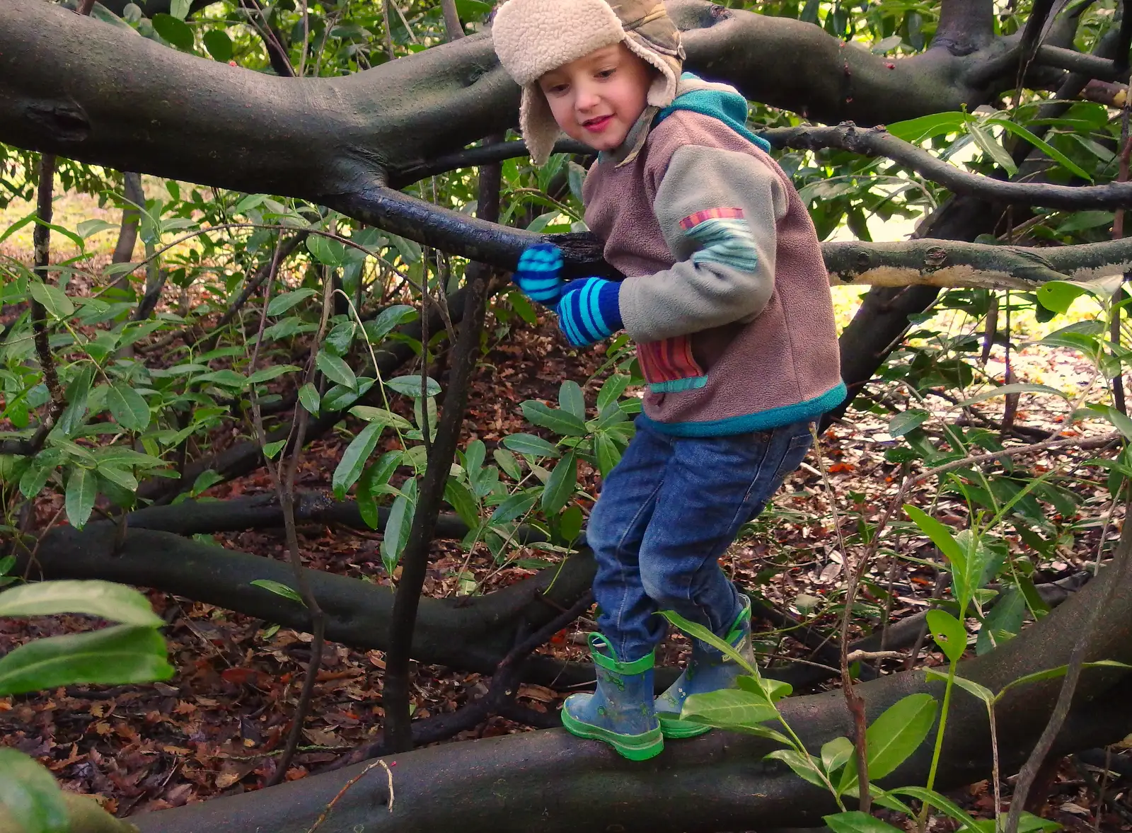 Fred walks along a branch, from A Boxing Day Walk, Thornham Estate, Suffolk - 26th December 2013