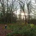 Harry in the woods, A Boxing Day Walk, Thornham Estate, Suffolk - 26th December 2013