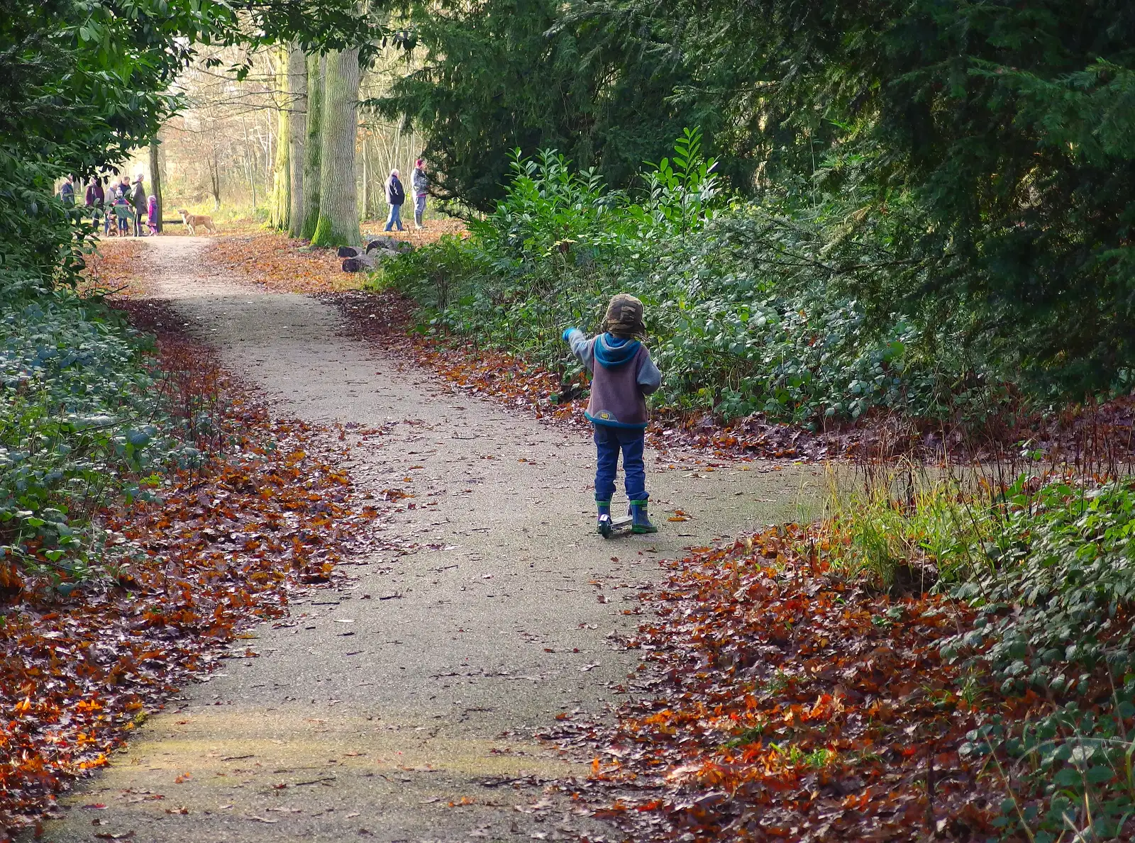 Fred at a junction, from A Boxing Day Walk, Thornham Estate, Suffolk - 26th December 2013