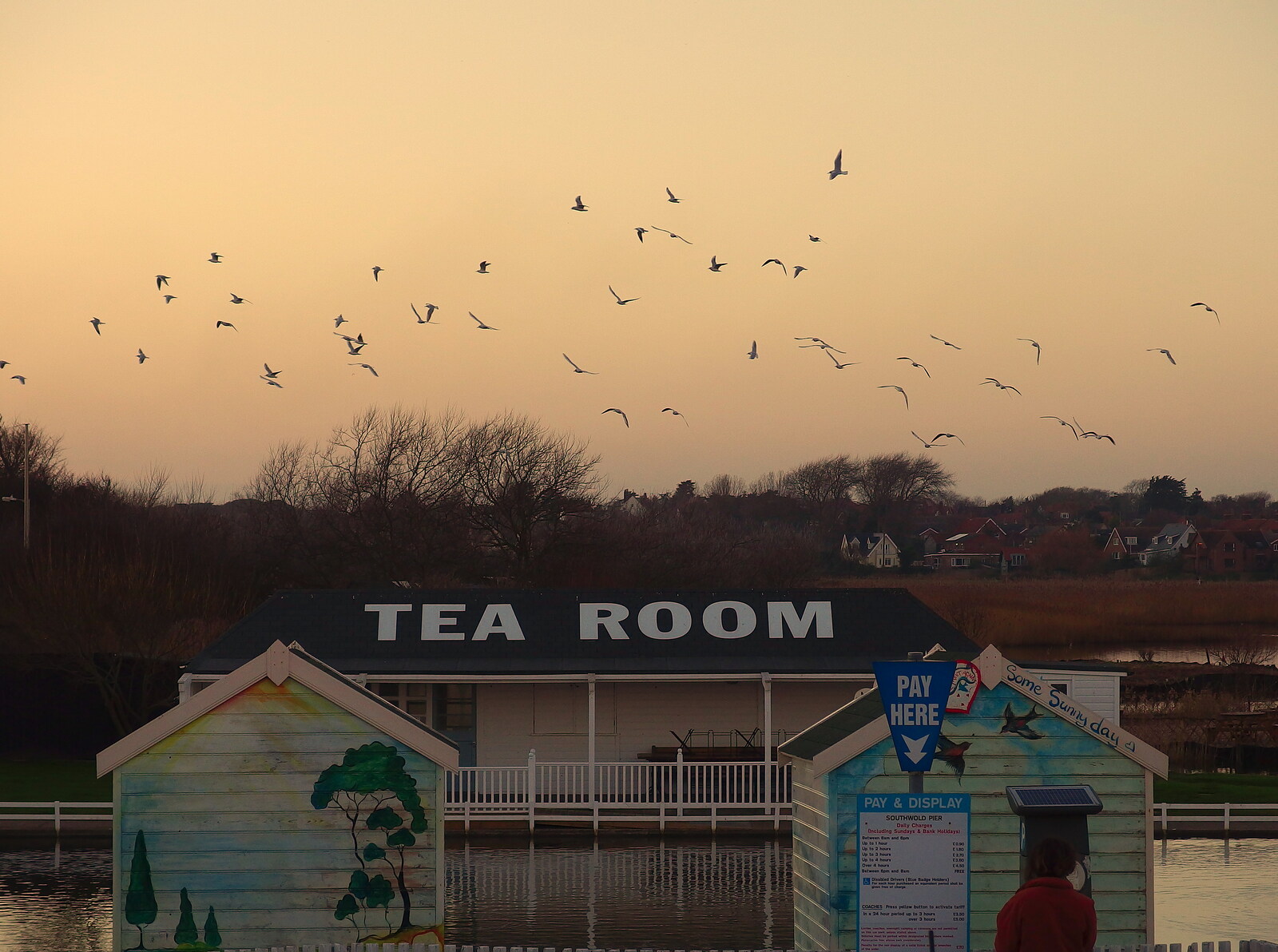 Birds take flight over the Tea Room from Post-Christmas Southwold, Suffolk - 29th December 2013