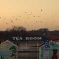Birds take flight over the Tea Room, Post-Christmas Southwold, Suffolk - 29th December 2013