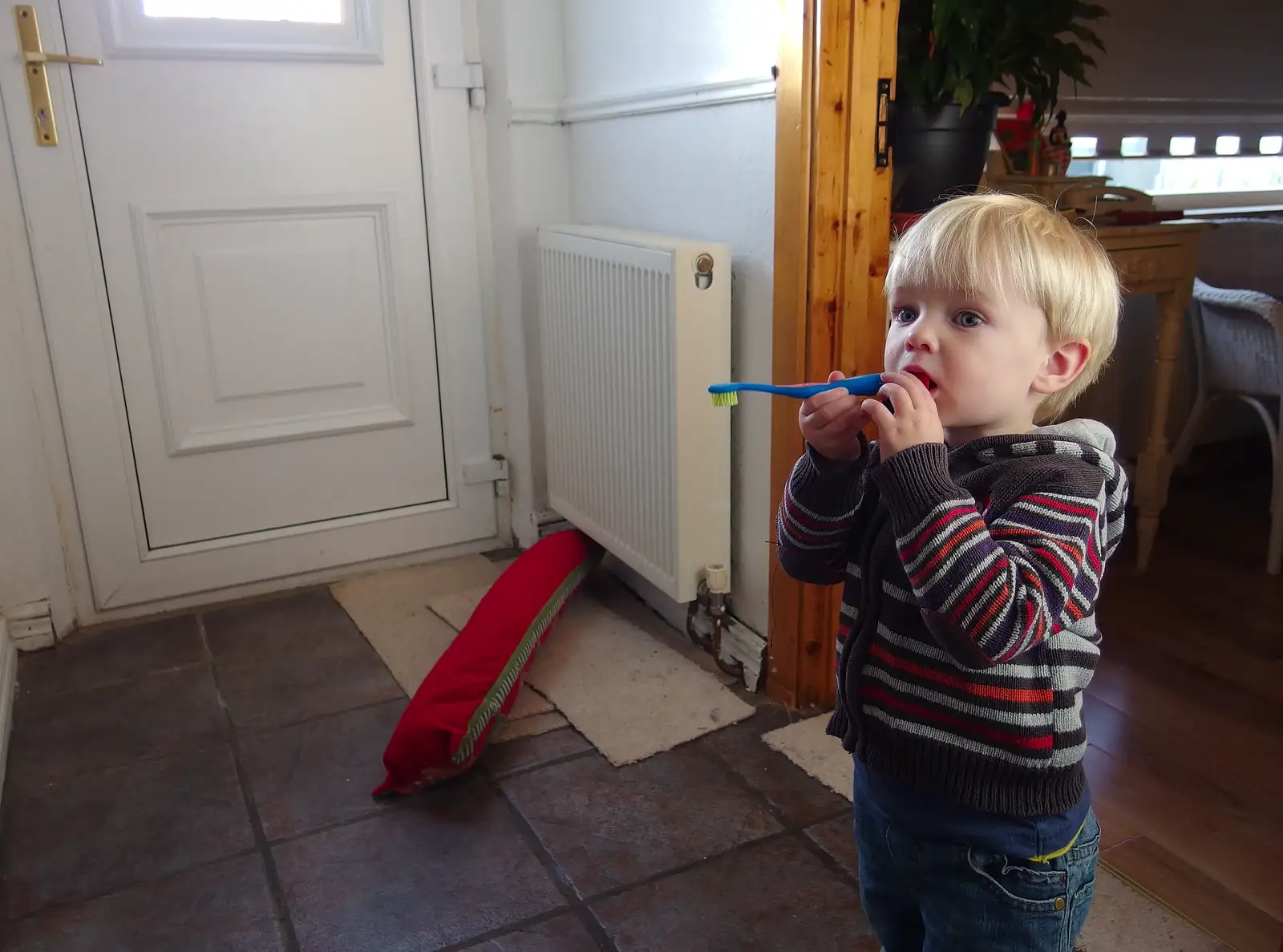 Harry's not quite got the hang of toothbrushes, from A Trip to Monkstown Farm and Blackrock, County Dublin, Ireland - 2nd January 2014